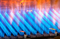Douglas gas fired boilers